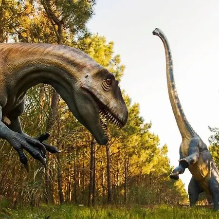 Apartmán Varandas Da Areia Branca Praia da Lourinhã