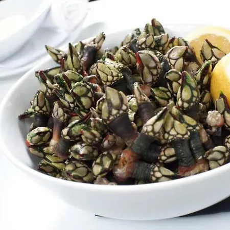 Apartmán Varandas Da Areia Branca