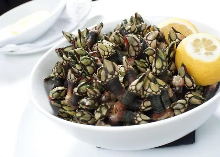 Appartamento Varandas Da Areia Branca